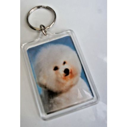 DOG BREED KEY RINGS QUALITY ACRYLIC DOUBLE SIDED PHOTO KEY RINGS 33 BREEDS