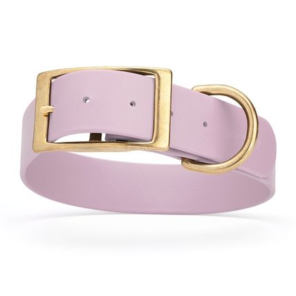 Dog Pet Collar with Brass Hardware Size XL W 1.5” L 20” - 24” Pastel Purple
