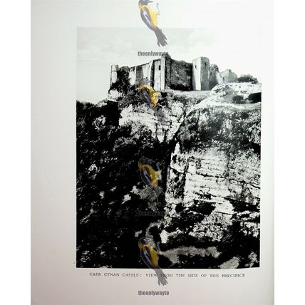 Dynevor Castle & Caer Cynan Castle, Book Illustration (Print) 1926