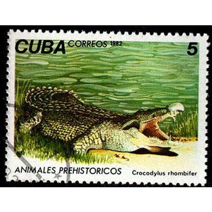 Cuba 1982 Prehistoric Animals 5c Used Stamp,.