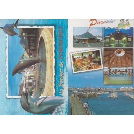Pornichet French Dolphin Sea Park Restaurant Bridge Dome etc 2x Postcard s
