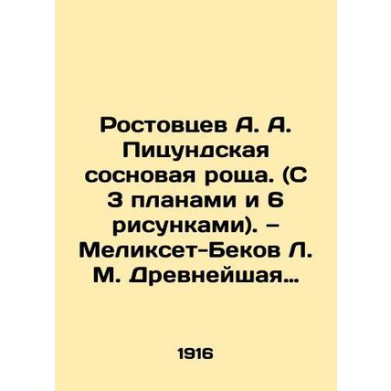 A. A. Rostovtsevs Pitsunda pine grove (with 3 plans and 6 drawings) In Russian (