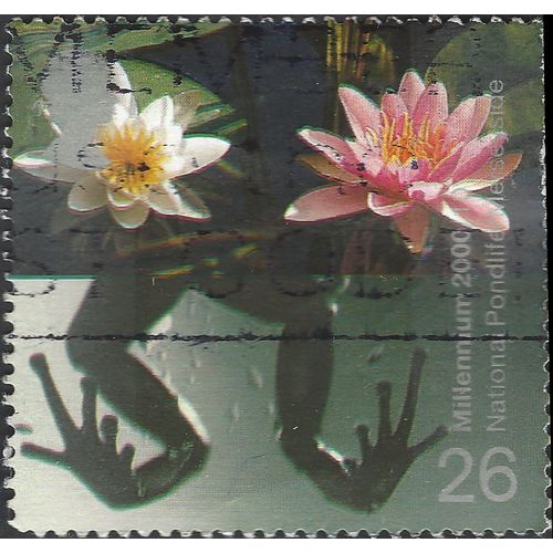GB, AMPHIBIAN, Frog's Legs and Water Lilies, green 2000, 26p