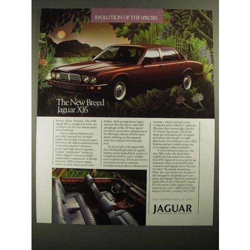 1988 Jaguar XJ6 Car Ad - Evolution of the Species