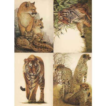 Tiger Puma Cubs 4x Giant Cat Painting Postcard s