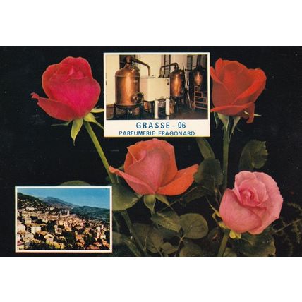 Grasse Fragonard Parfumerie Rose Perfume Machine French Postcard