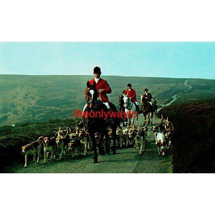 Over The Moors, Exmoor, Somerset Hunt, Plastichrome Colourpicture, Postcard