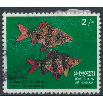 Fish: 2r - Sri Lanka 1972 - F H - SG 597 (B)