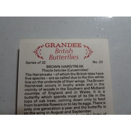 1983 Grandee British Butterflies Card # 23 of 32 Brown Hairstreak VG-Ex (4)