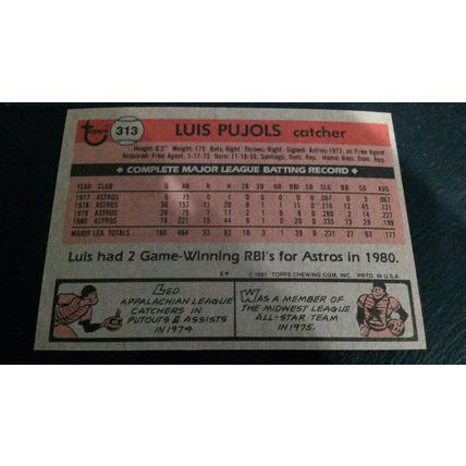 1981 Topps Card # 313 Luis Pujols Excellent (5) Houston Astros