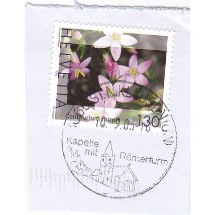 St Niklausen special Postmark Switzerland 2010 on Centaurium Minus 130c VGC