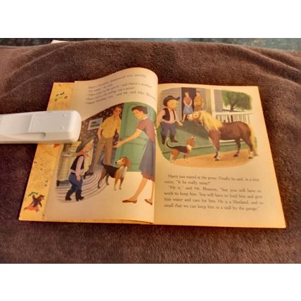 Little Golden Book The New Pony (A)Edition Fine 6.0 Shape By Blanche Perrin 1961
