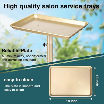 Salon Tray, Champagne Gold Salon Rolling Tray, Salon Service Tray Cart with Adju