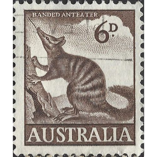 AUSTRALIA, MAMMAL, Numbat, brown 1960, 6d, #4