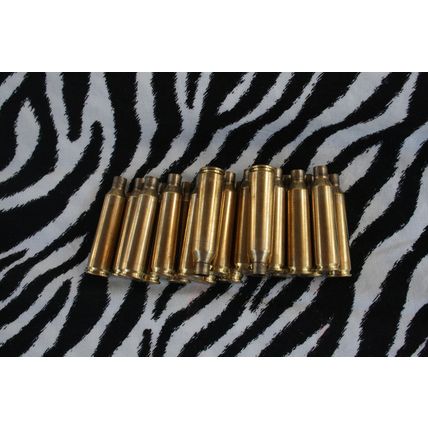 Brass Bullet Casings, 22-250, Remington Bullet Shells, Fired Rifle Brass Bullets