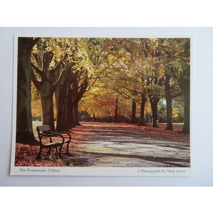 The Promenade, Clifton, Bristol Postcard