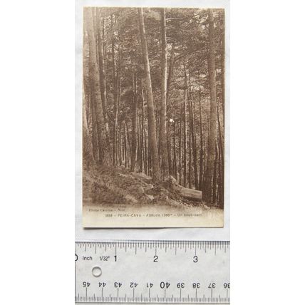 vintage postcard Peira Cava, Nice