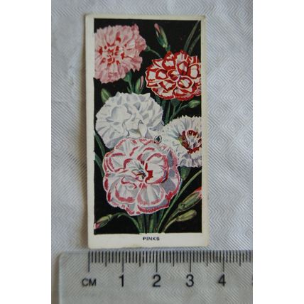 1936 Carreras Flowers No. 4 Pinks