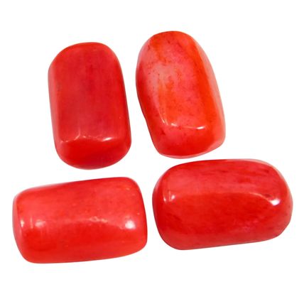 Natural 35.50 Ct Italian Red Coral "Cabochon" Cut Loose Gemstone Lot