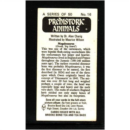 Brook Bond Prehistoric Animals Megalosaurus No 16 Mint