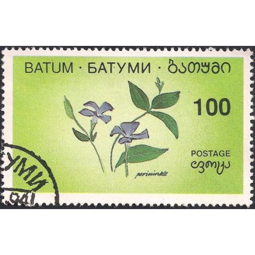 BATUM, FLOWERS, Periwinkle, green 1994, 100