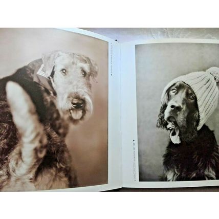 101 SALIVATIONS For The Love Of Dogs - Rachael Hale HC /DJ ISBN 9780733617690