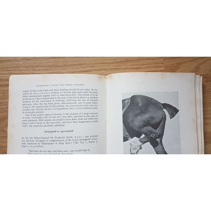Horse Book: Veterinary Notes For Horse Owners, Capt M Horace Hayes F.R.C.V.S