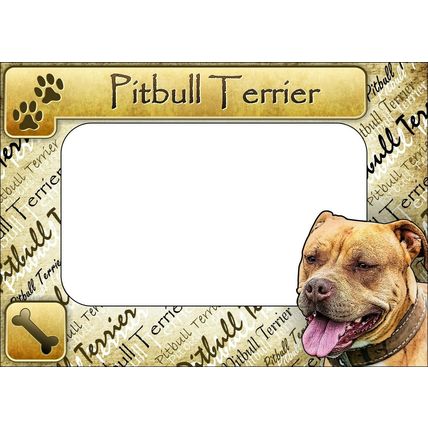 Pit Bull Terrier Picture Frame Fridge Magnet