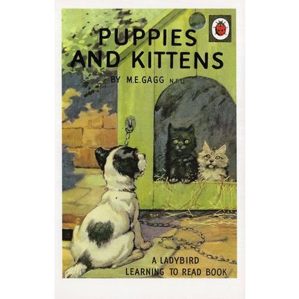 Puppies & Kittens Cats Dogs Ladybird First Edition Book Postcard