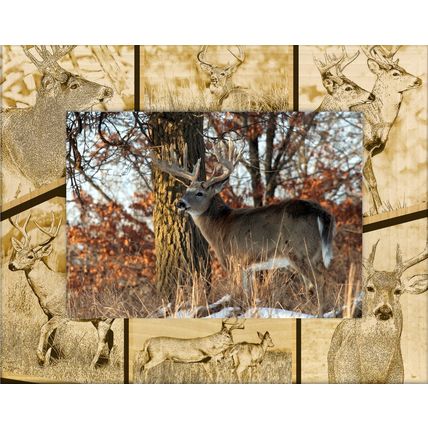 Whitetail Deer Laser Engraved Wood Picture Frame Landscape (4 x 6)