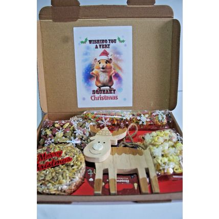 HAMSTER CHRISTMAS TREAT GIFT BOX WITH REINDEER WOOD GNAW TOY AND TASTY TREATS