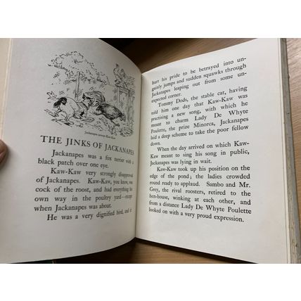 RARE* c1930 "TALES AND PICTURES AND HAPPY PETS" LARGE ILLUSTRATED HB BOOK (P5)