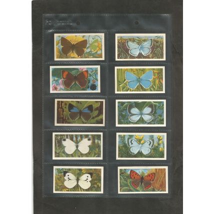 Brooke Bond Original Vintage Full Set of 50 Tea Cards British Butterflies 1963