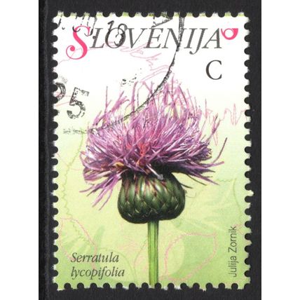 SLOVENIA 2007: FLORA - C SERRATULA LYCOPIFOLIA USED (G23)