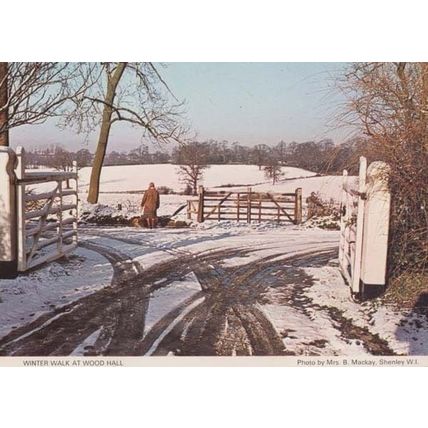 Shenley Wood Hall Walk Christmas Herts Hertfordshire Womens Institute Postcard