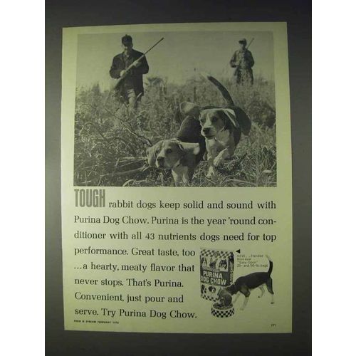 1970 Purina Dog Chow Ad - Tough Rabbit Dogs
