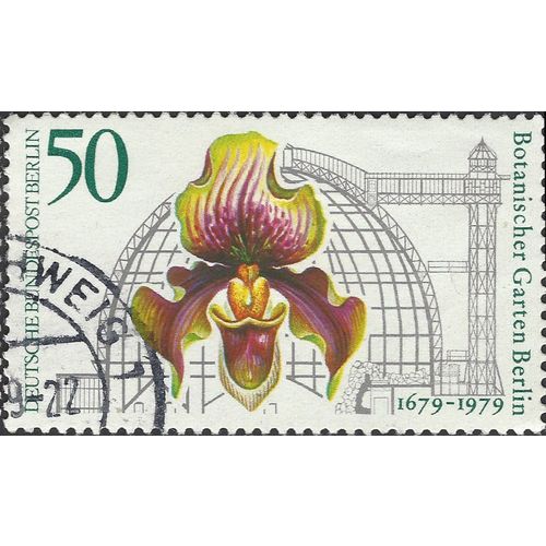 BERLIN, Paphiopedilum Aureum, Botanical Gardens, green 1979, 50pf