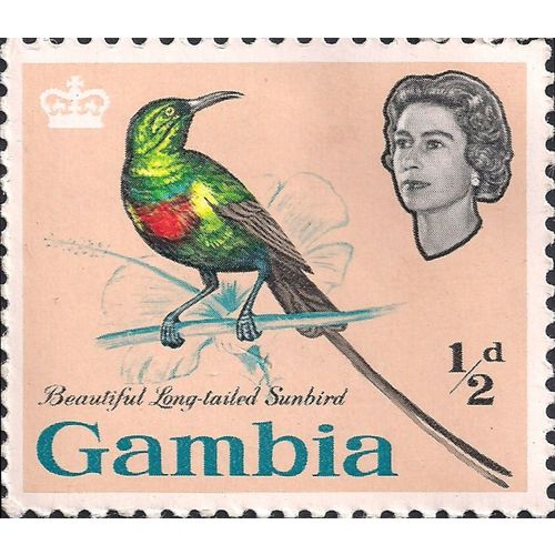 GAMBIA, BIRDS, Long-tailed Sunbird, pink 1963, ½d