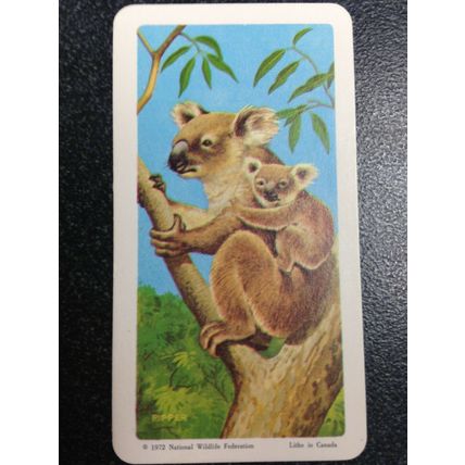 Red Rose Tea Card - Blue Ribbon Animals & Young Series 18 - Set of 18 cards