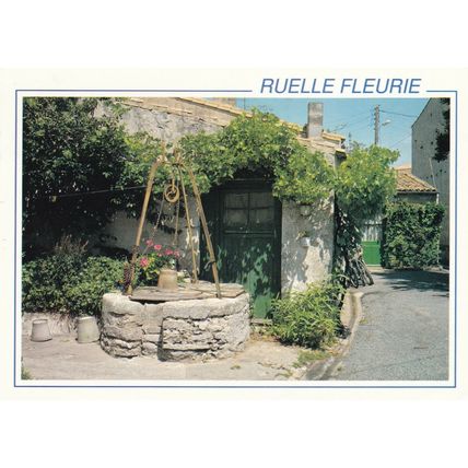 Ruelle Fleurie France Postcard posted 1993 VGC