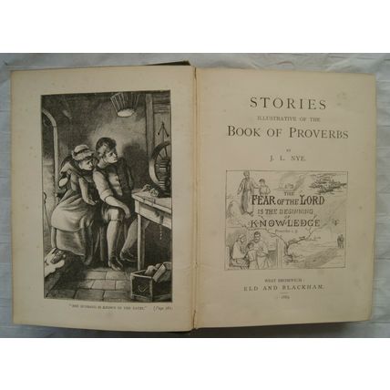 1889 Stories Illustrative of the Book of Proverbs by J. L. Nye