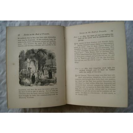 1889 Stories Illustrative of the Book of Proverbs by J. L. Nye