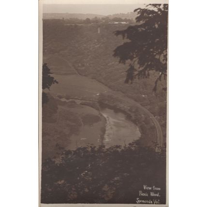 Picnic Wood Symonds Yat Old Gloucester Postcard
