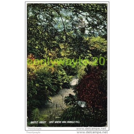 BATTLE ABBEY, SPOT WHERE KING HAROLD FELL, SUSSEX, ENGLAND, 1908, Postcard