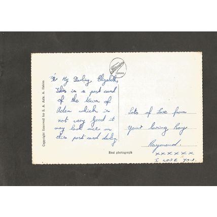 Postcard Aden Yemen Camels