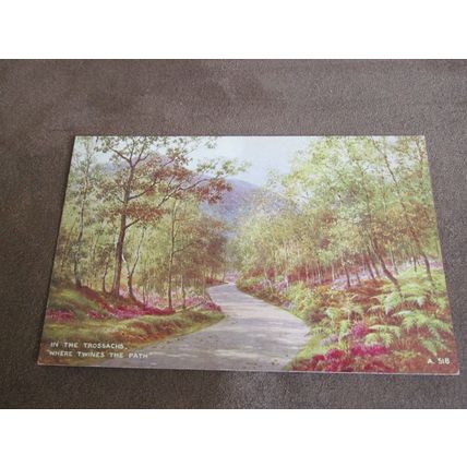 1930s Valentines Postcard - In The Trossachs - Artist A518