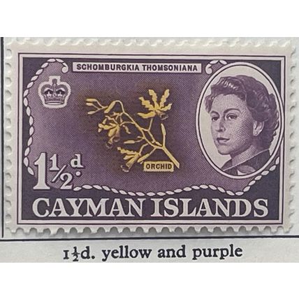 Cayman Islands 1962 1½d Schomburgkia thomsoniana Mounted Mint MM SG 167 stamp