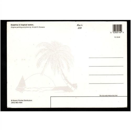 AMERICAN POST CARD - DOLPHINS IN TROPICAL WATERS - No FL12LM - UNUSED