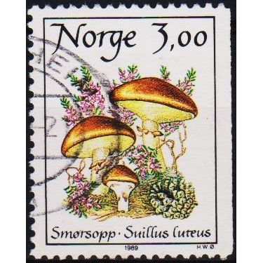 Norway. 1989 3k S.G.1053 Used