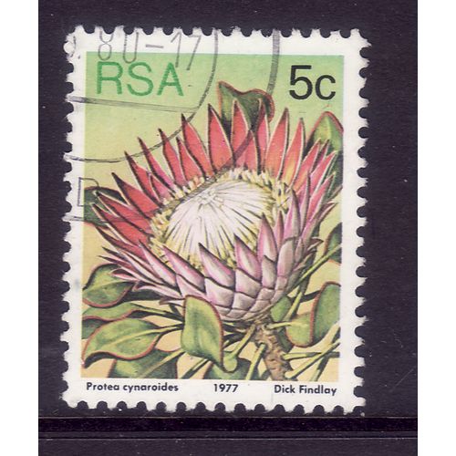 SOUTH AFRICA 1977 SUCCULENTS 5c P CYNAROIDES SG 418 FINE USED#2
